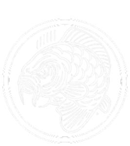 Angry Carp